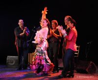 Noche de Arts Flamenco. Le samedi 31 mars 2018 au Thor. Vaucluse.  20H30